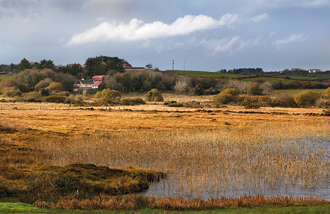 Kylea Farmstead © Ben Taylor